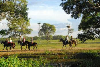 Southwild Pantanal Lodge Poconé Extérieur photo